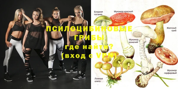 2c-b Алзамай