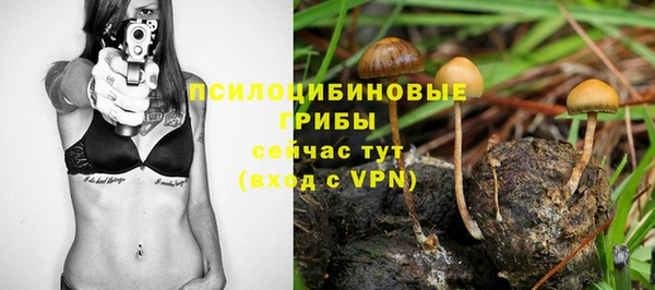 дмт Абинск
