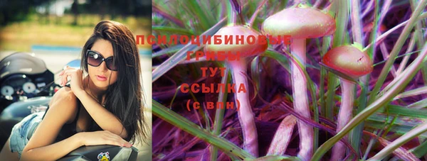 2c-b Алзамай