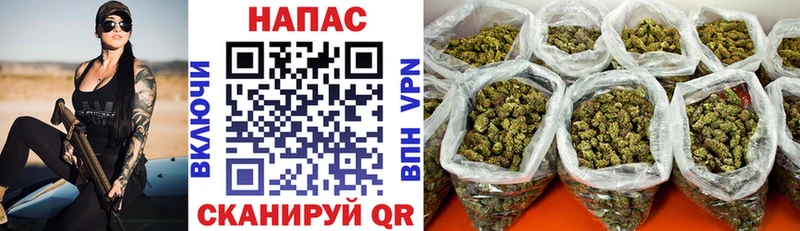 Конопля OG Kush  сайты даркнета какой сайт  Шимановск  как найти закладки 